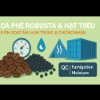 CÀ PHÊ ROBUSTA & HẠT TIÊU: KIỂM SOÁT ẨM, HUN TRÙNG & CHỨNG NHẬN CHẤT LƯỢNG