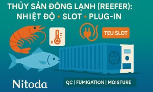 THỦY SẢN ĐÔNG LẠNH (REEFER): CÀI ĐẶT NHIỆT ĐỘ, TEU SLOT & KIỂM TRA PLUG-IN TẠI CẢNG