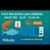 THỦY SẢN ĐÔNG LẠNH (REEFER): CÀI ĐẶT NHIỆT ĐỘ, TEU SLOT & KIỂM TRA PLUG-IN TẠI CẢNG