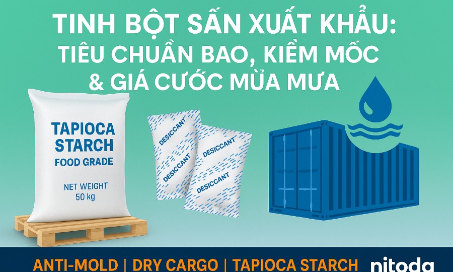 TINH BỘT SẮN XUẤT KHẨU: TIÊU CHUẨN BAO, KIỂM MỐC & GIÁ CƯỚC MÙA MƯA
