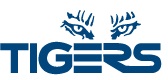 logo Tigers Global Logistics Ltd
